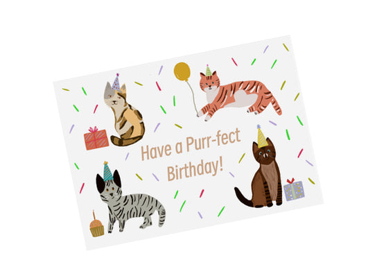 Cute Cats Illustration | Birthday Card