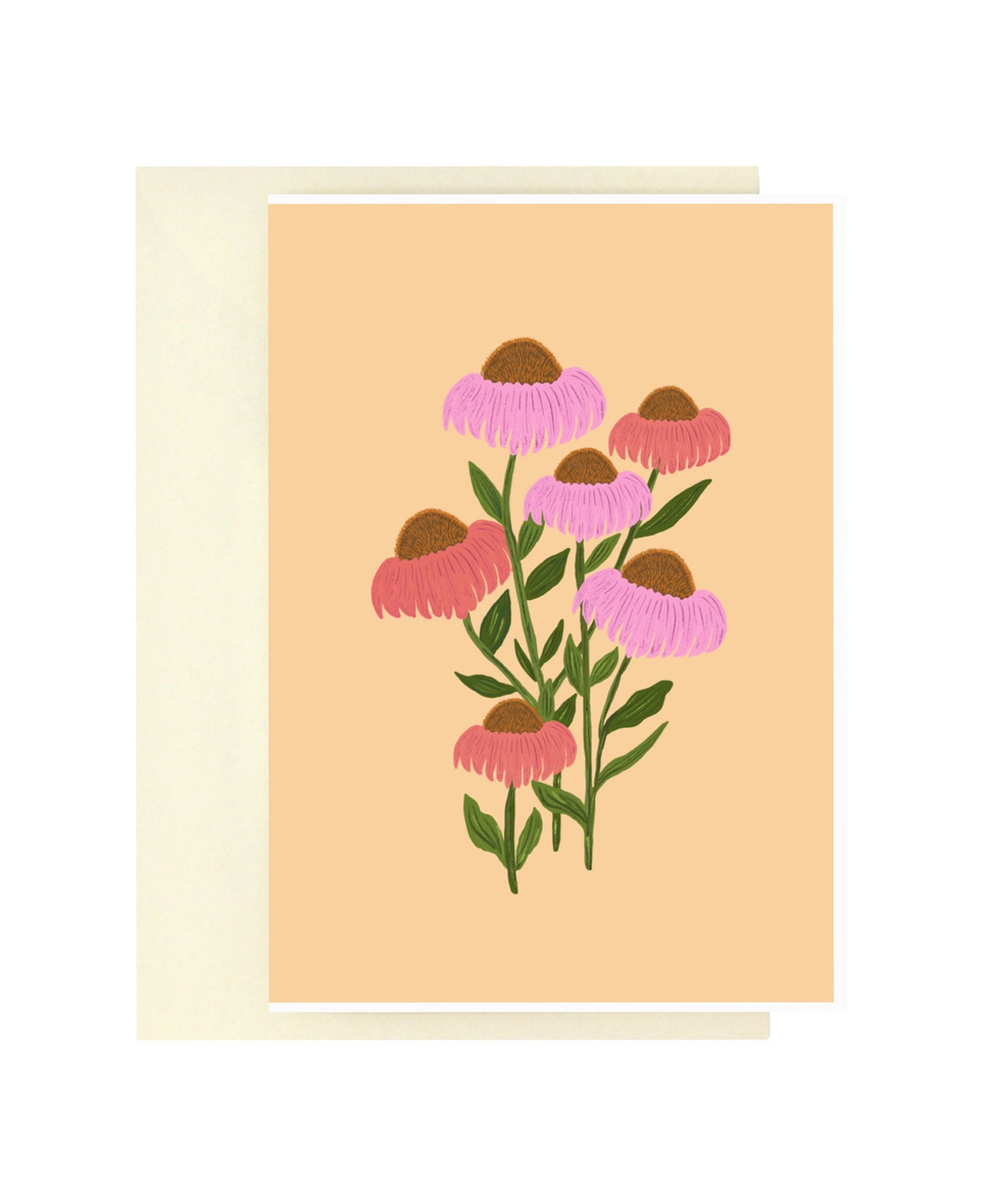 Blooming Coneflowers | Bloom Series