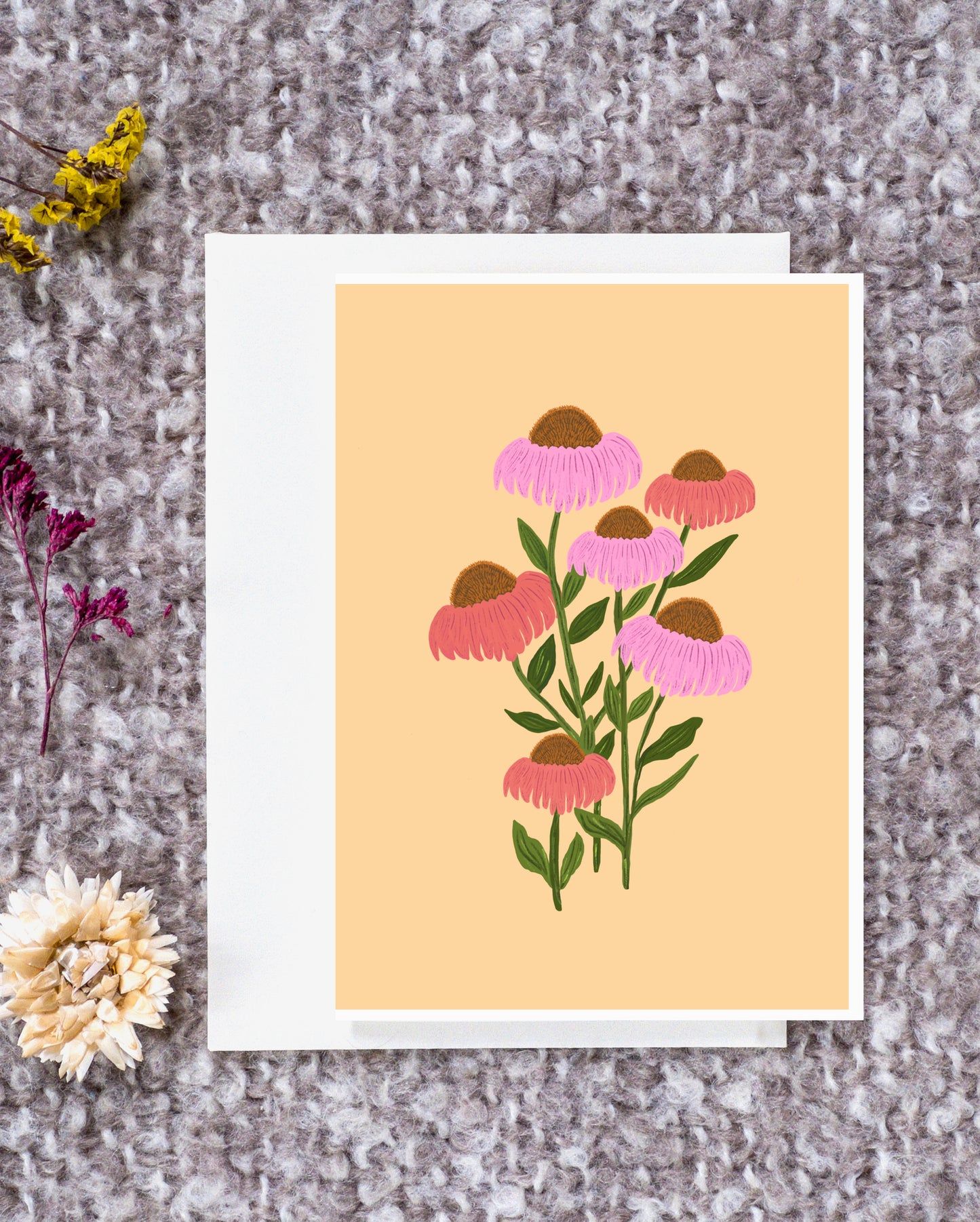 Blooming Coneflowers | Bloom Series