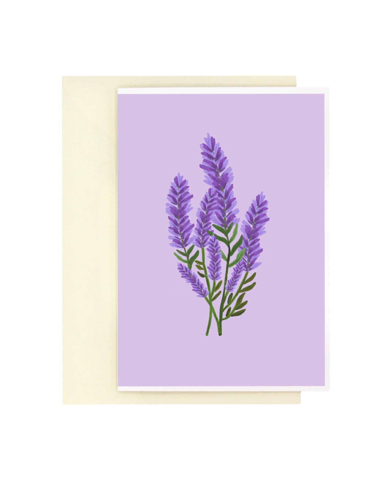 Bloom Series | Assorted Card Set