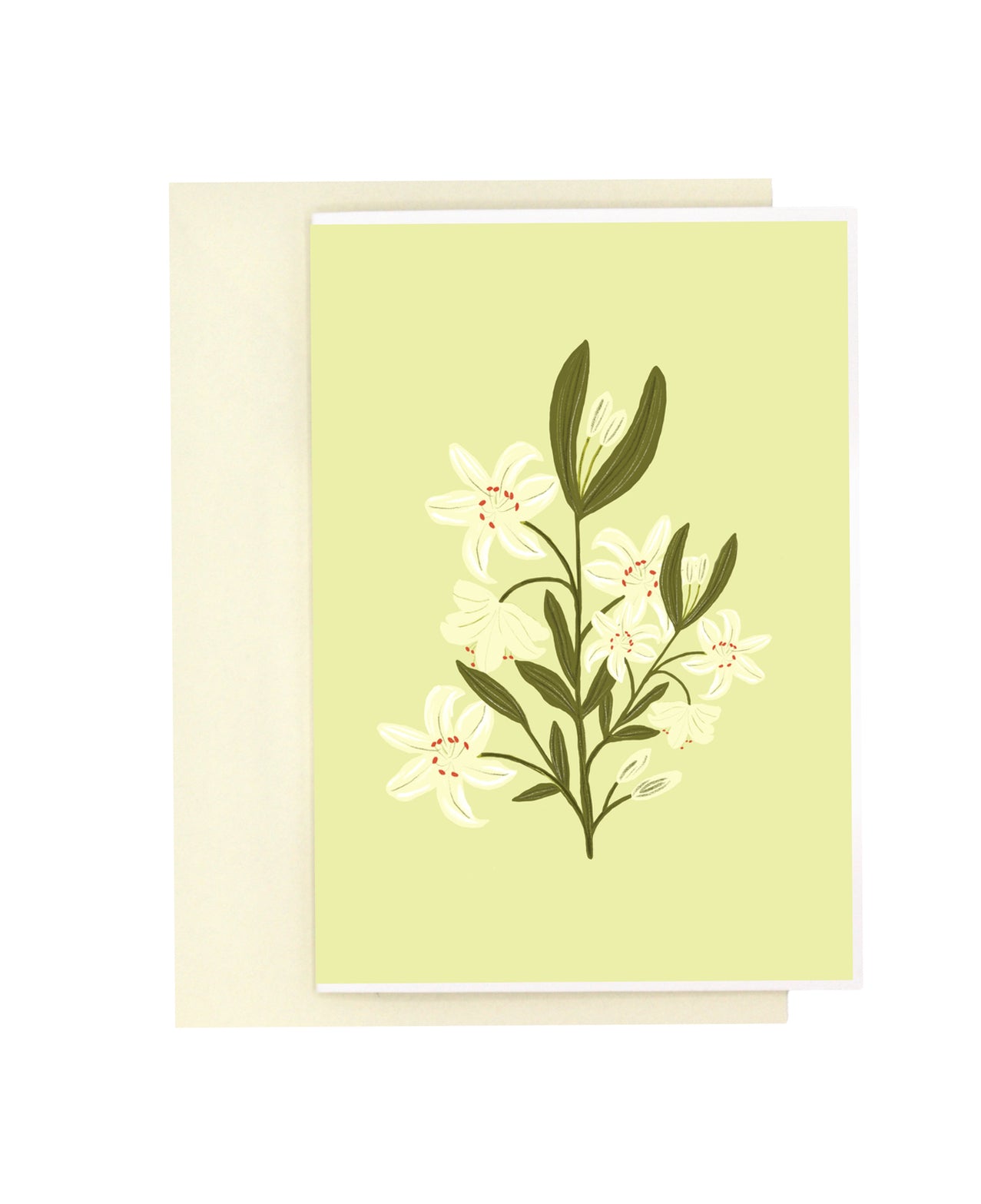 Bloom Series | Assorted Card Set