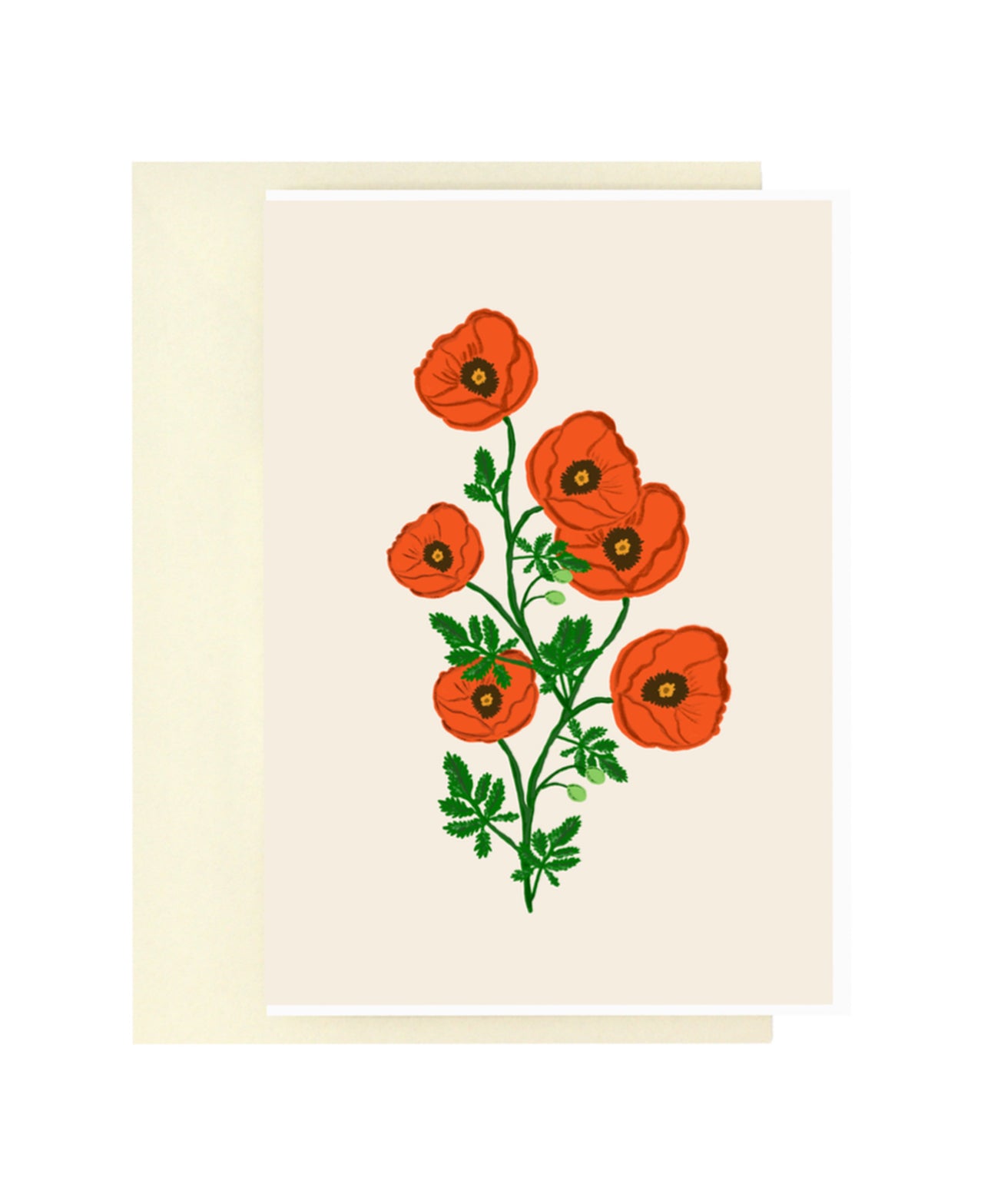 Blooming Poppies | Bloom Series
