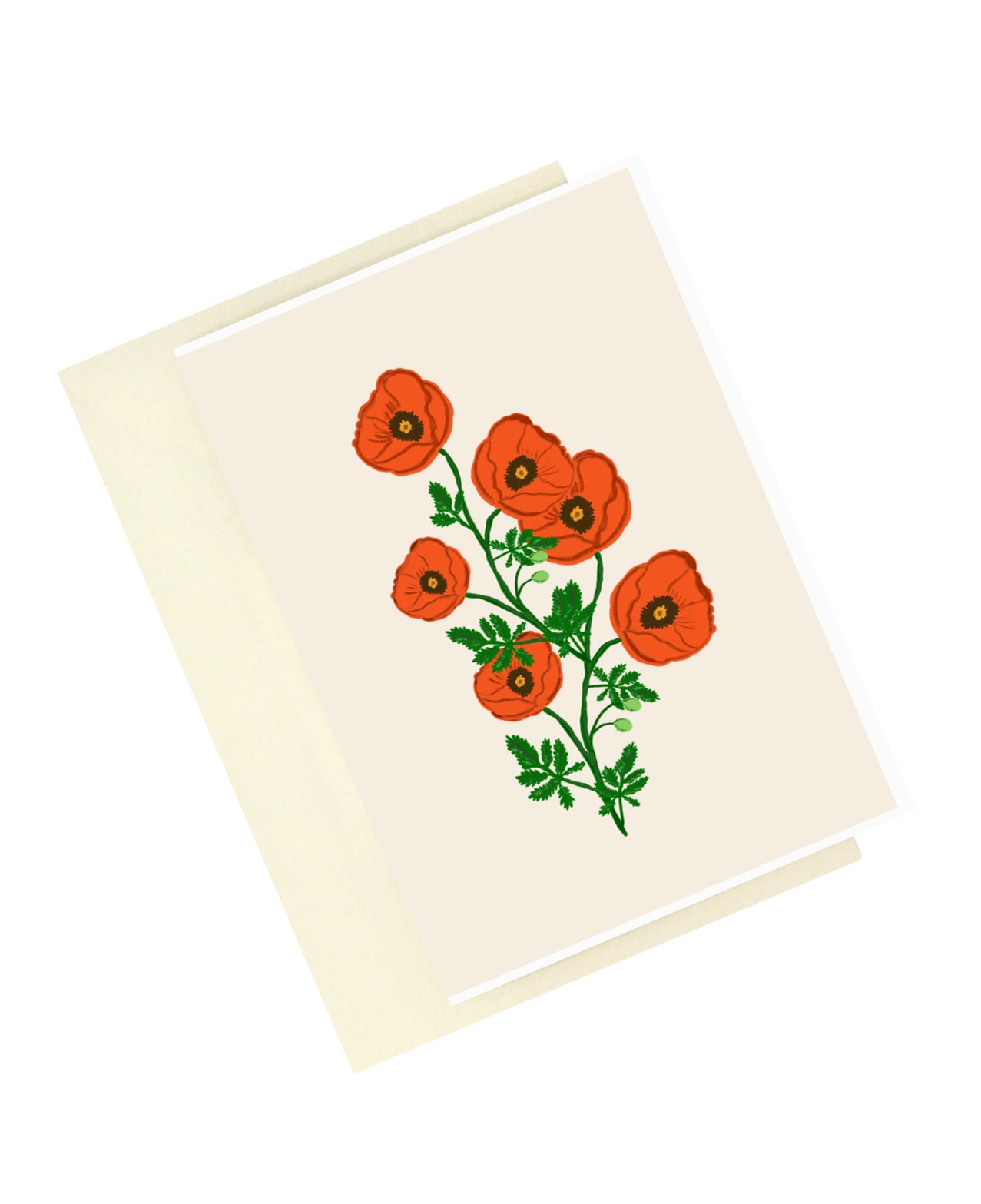 Blooming Poppies | Bloom Series