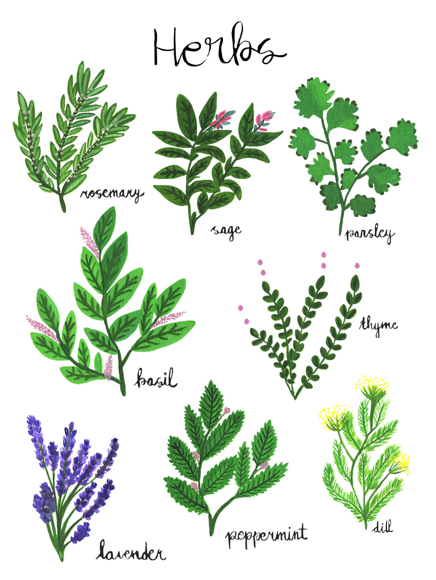 Kitchen Herbs | Art Print