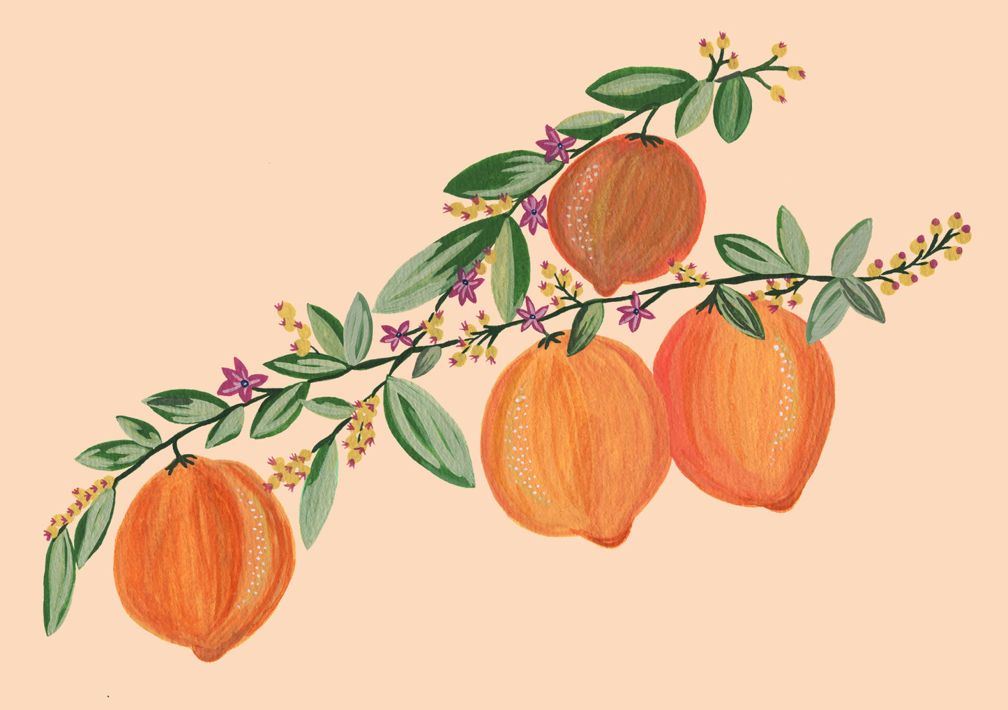 Summer Peaches | Fruit Print